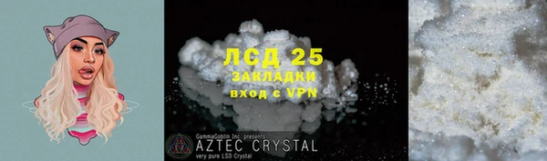PSILOCYBIN Лиски