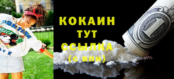 винт Лагань