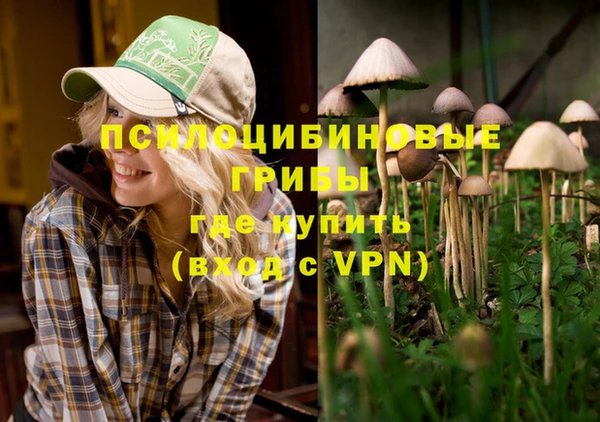 Альфа ПВП Липки