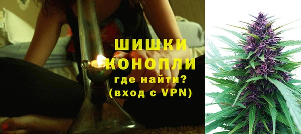 PSILOCYBIN Лиски