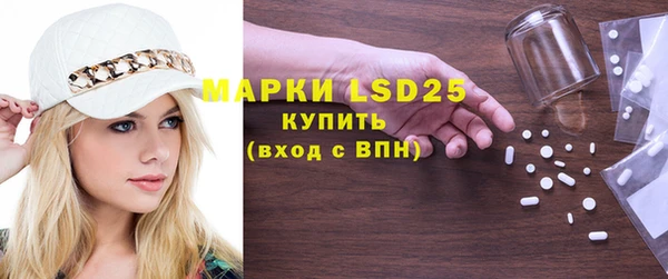 винт Лагань