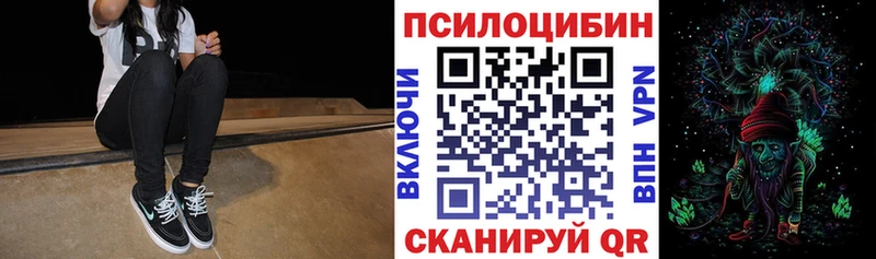 Псилоцибиновые грибы Psilocybe Михайлов